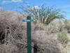 Desert hiking