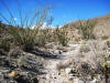 Agua Caliente Hiking