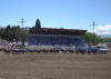 Mule Days Bishop CA 2011