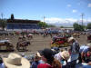 Mule Days June 2011