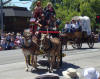 Mule Days Bishop CA 2011