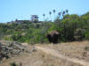 Hiking Catalina Island Airport Loop Hike