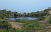 Catalina Island Airport Loop Hike