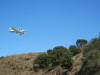 Catalina Island Airport Loop Hike