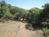 Hiking Catalina Island Airport Loop Hike