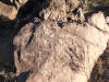 Petroglyphs near Midville AZ