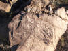 Petroglyphs near Midville AZ