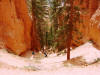 Bryce Canyon Peekaboo Hike
